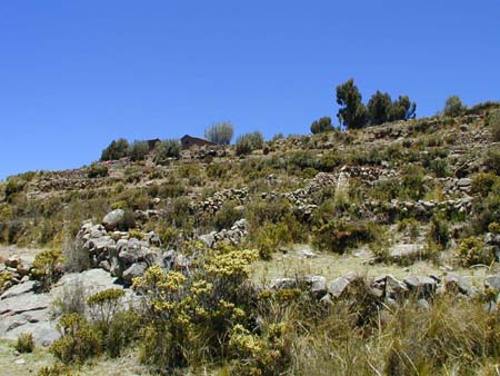 peru_102001_008