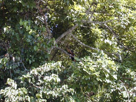 peru_102401_009