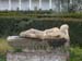 italy_122601_009